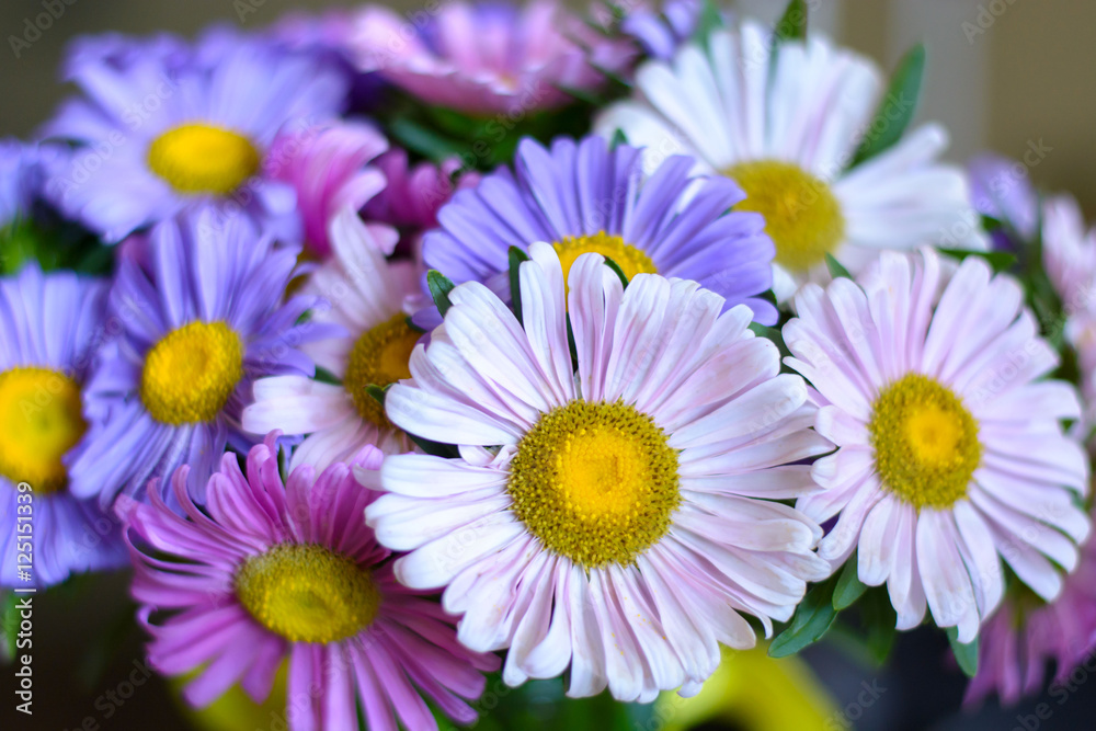 big beautiful bouquet of flowers close up big beautiful bouquet of flowers close up