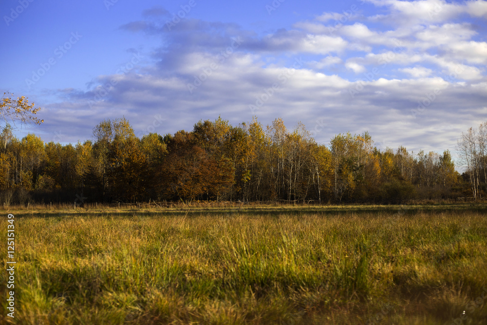 Vukomericke gorice - autumn landscape