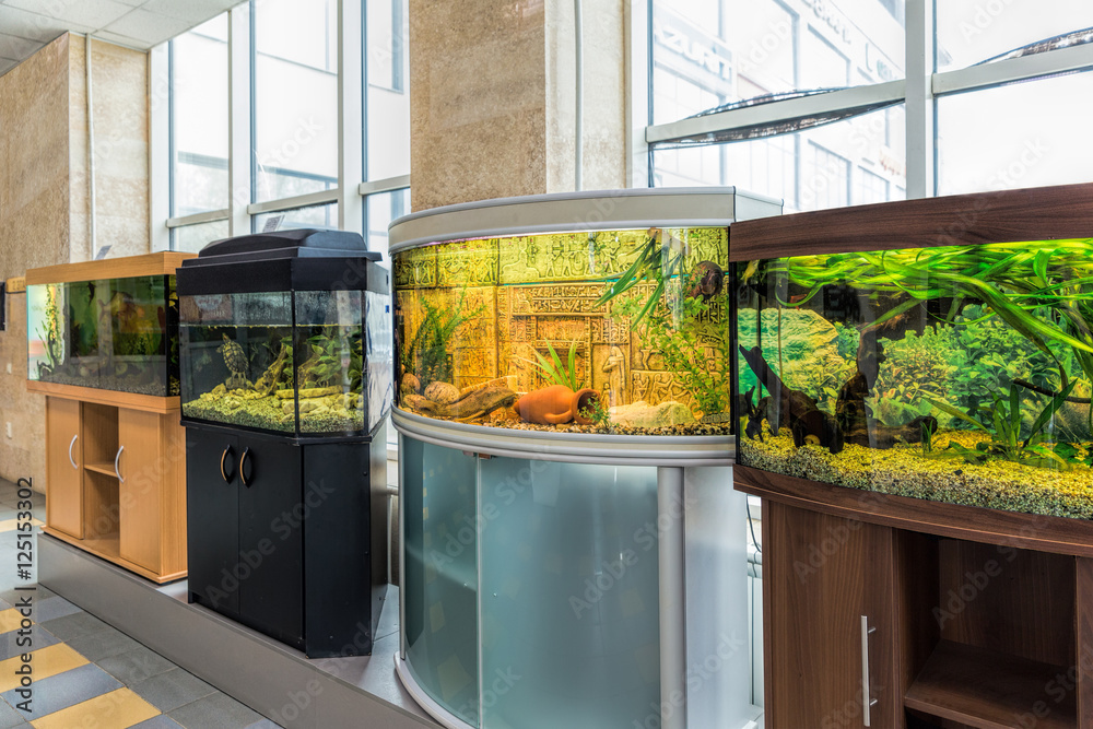 Obraz premium Cztery akwaria stoją na podporach