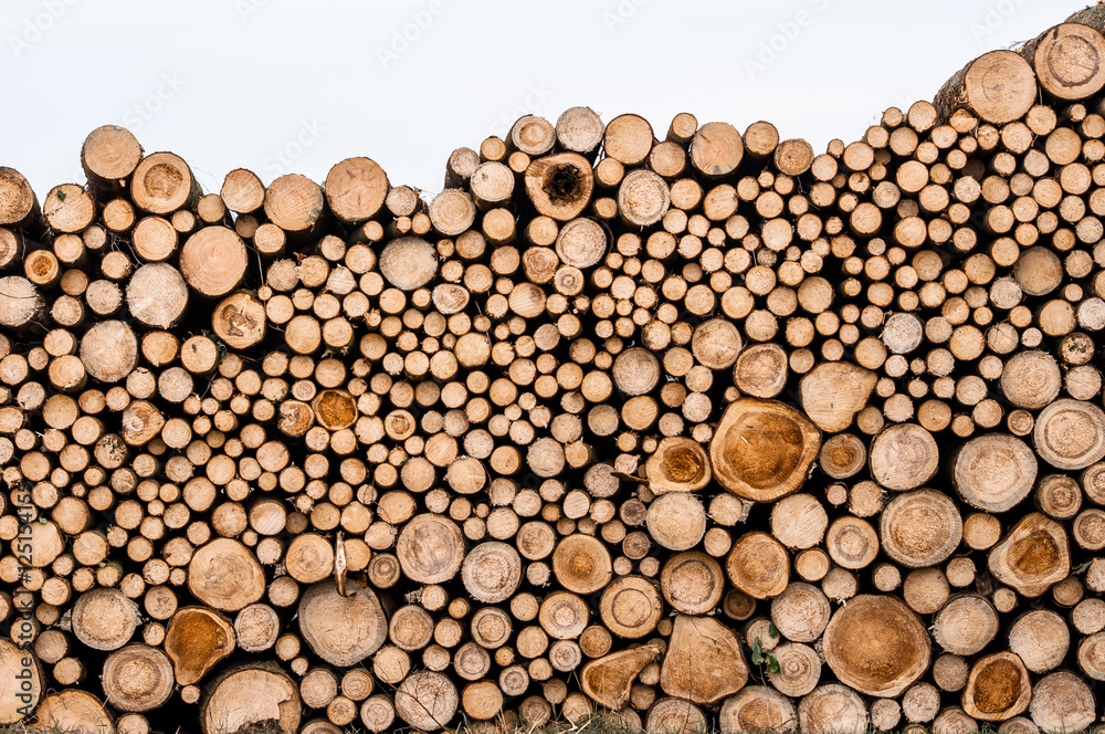 Logs of trees