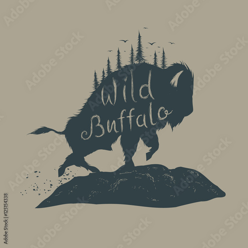 wild buffalo