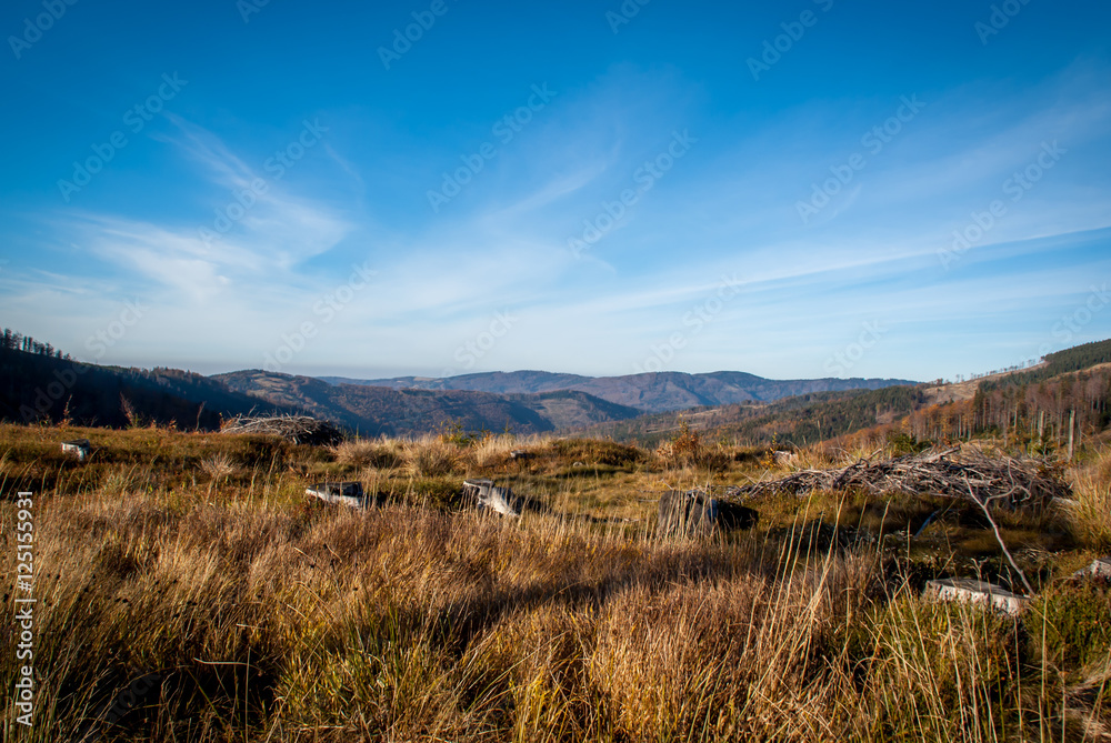 Polish autumn in the mountains