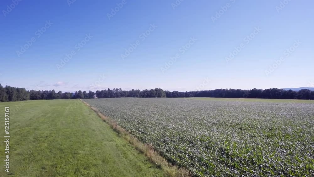 Aerial flyover, wide open farmland, Rural field. Aerial flyover, wide open farmland, Rural field.