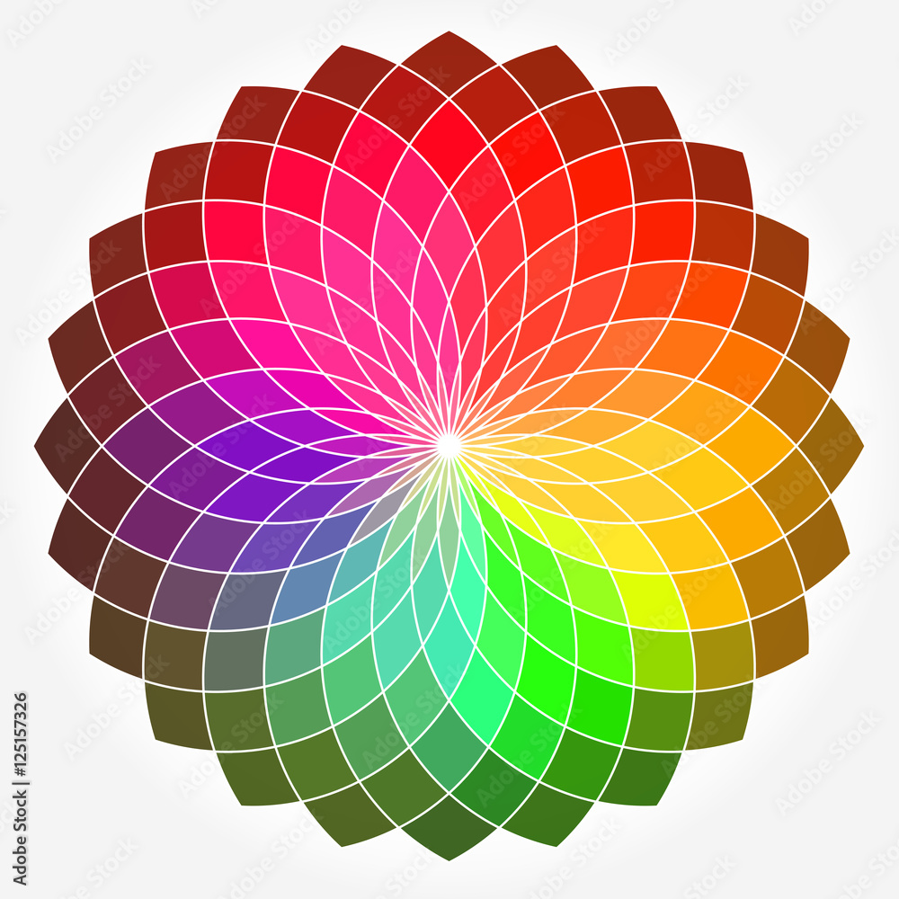 Obraz premium Koło kwiatowe kolor