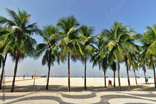 Fotografia Coqueiros e calçadão de Copacabana