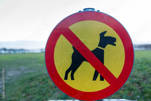 No dogs allowed on the beach - Gothenburg Sweden photo