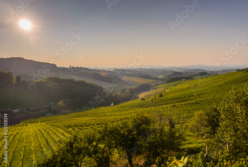 Vineyards with winery in autumn - White wine grapes before harvest, Southern Styria Austria