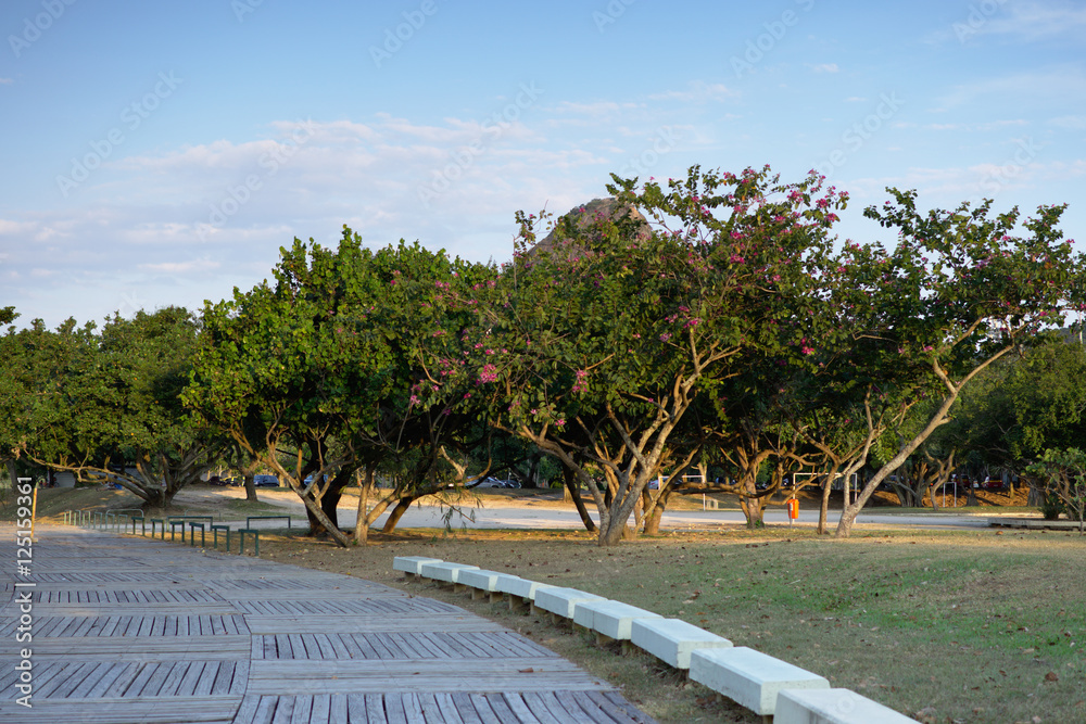 Obraz premium Parque do Aterro do Flamengo