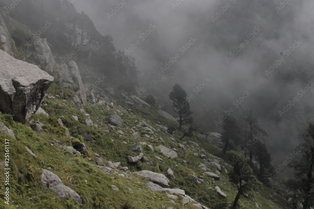 India, Triund 2016