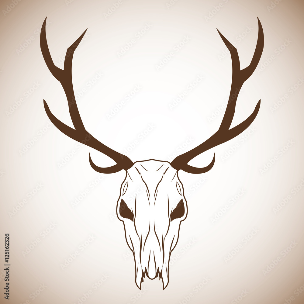 Deer skull icon. boho style bohemic ornament indian and decoration