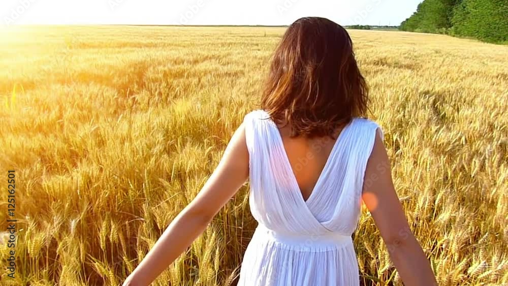 Rear view of young woman walking across the wheat field, touching a ...