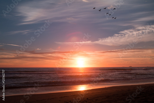 Sunset a flock of Cormorants fly along the shoreline © davidhoffmann.com