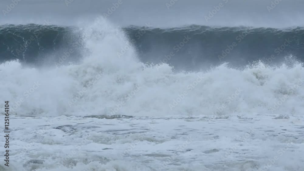 Massive sea swell waves braking on coast during storm El Ni�o Massive sea swell waves braking on coast during storm El Ni�o