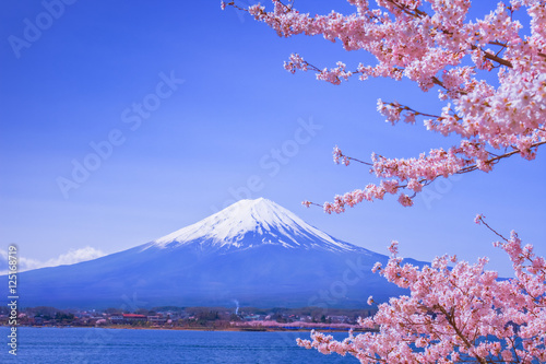 桜と富士山