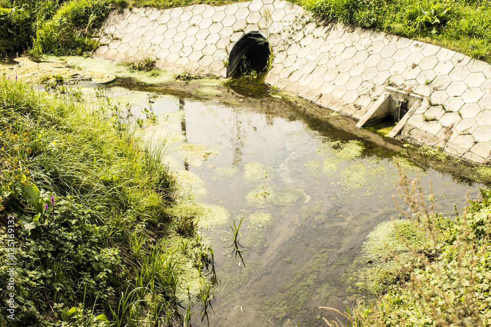 Sewer Pollution