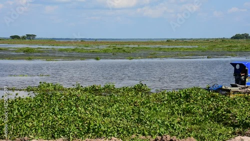Boats, hyacinth removal