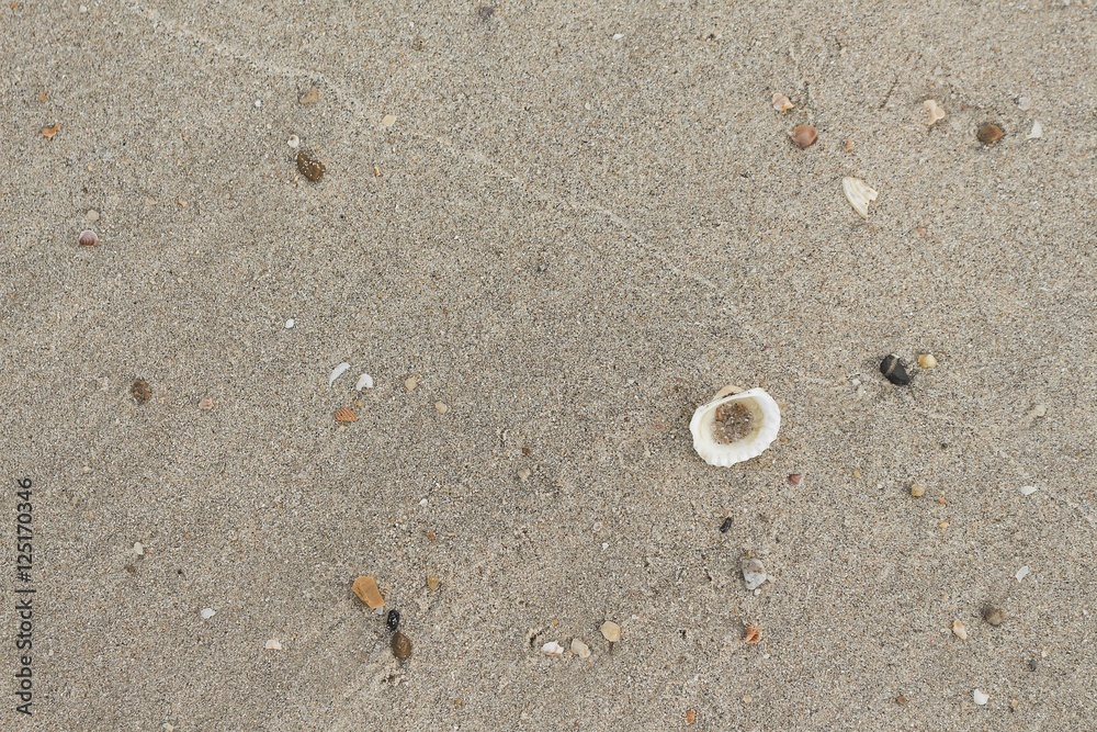 Stone,sand,shell sea water and beach with lighting in the morning