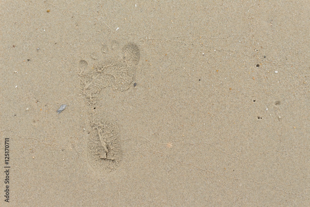 footprints on the Sand. Select focus footprints footprints on the Sand. Select focus footprints