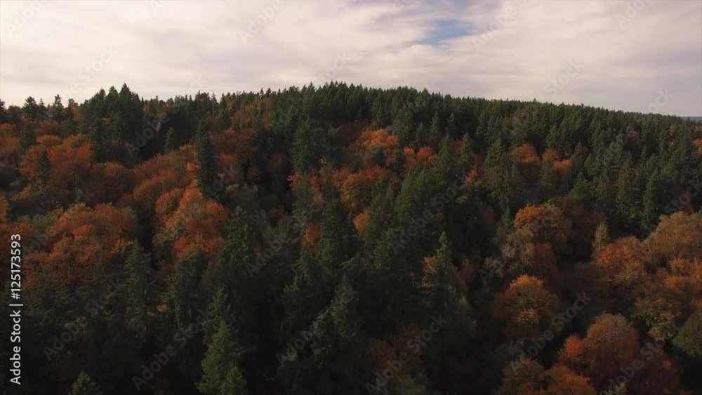 Aerial Flying Backwards Over Forest Trees with Orange and Green Fall Colors Aerial Flying Backwards Over Forest Trees with Orange and Green Fall Colors