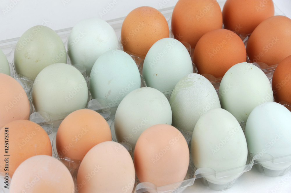 close up on chicken eggs with different color close up on chicken eggs with different color