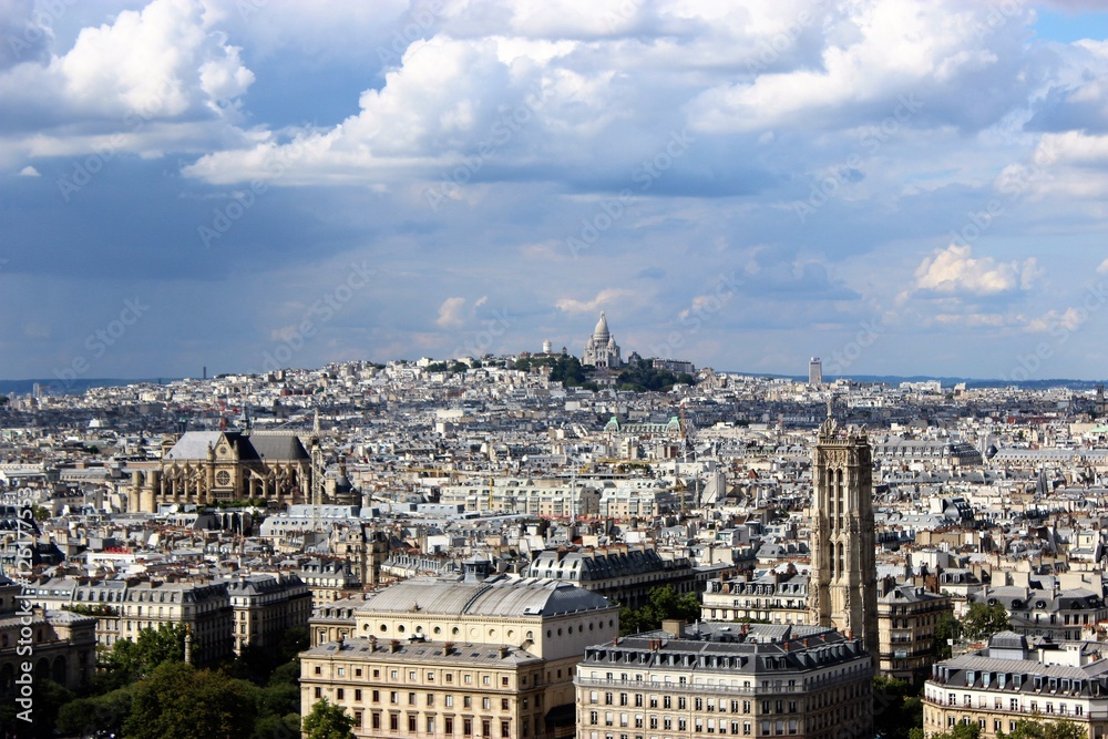 Sacre Couer in Montmatre with Skyline of Paris