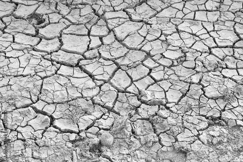 cracked clay ground into the dry season with black and white.