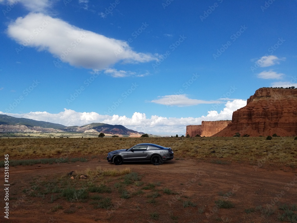 Sports Car in the Desert