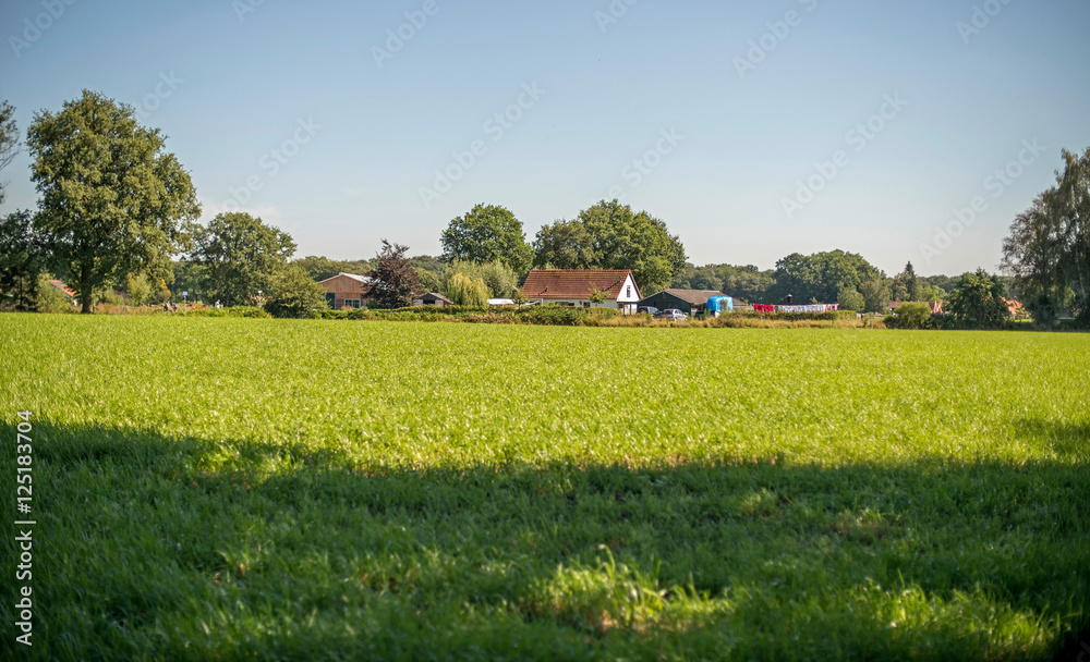 Dutch rural landscape with farm. Winterswijk. Achterhoek. Gelderland.