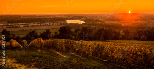 Vineyard Sunrise  Bordeaux  Saint Emilion  France