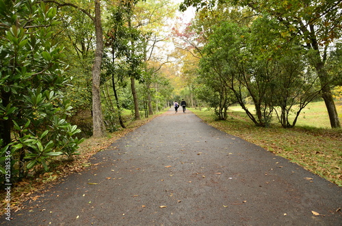 Wallpaper Mural Sonbahar Renkleri Torontodigital.ca