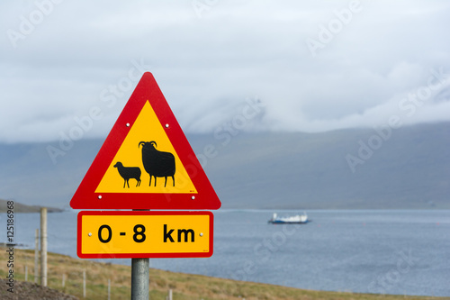 Sheep on the road roadsign in Iceland