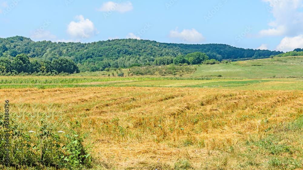 Countryside of region Horezu with hills, forests and fileds