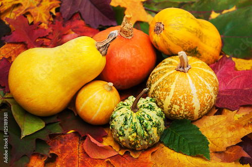 Pumpkins and leaves