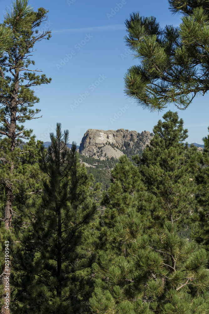 Mount Rushmore Landscape