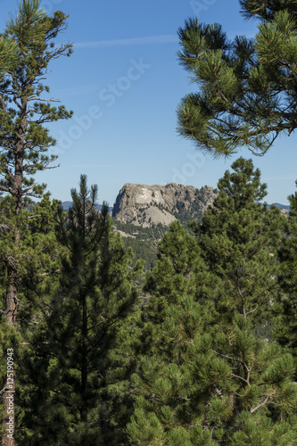 Mount Rushmore Landscape