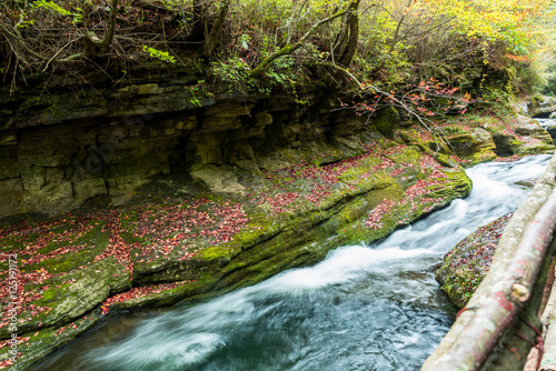 Stream Flowing Through Rocks in forest.