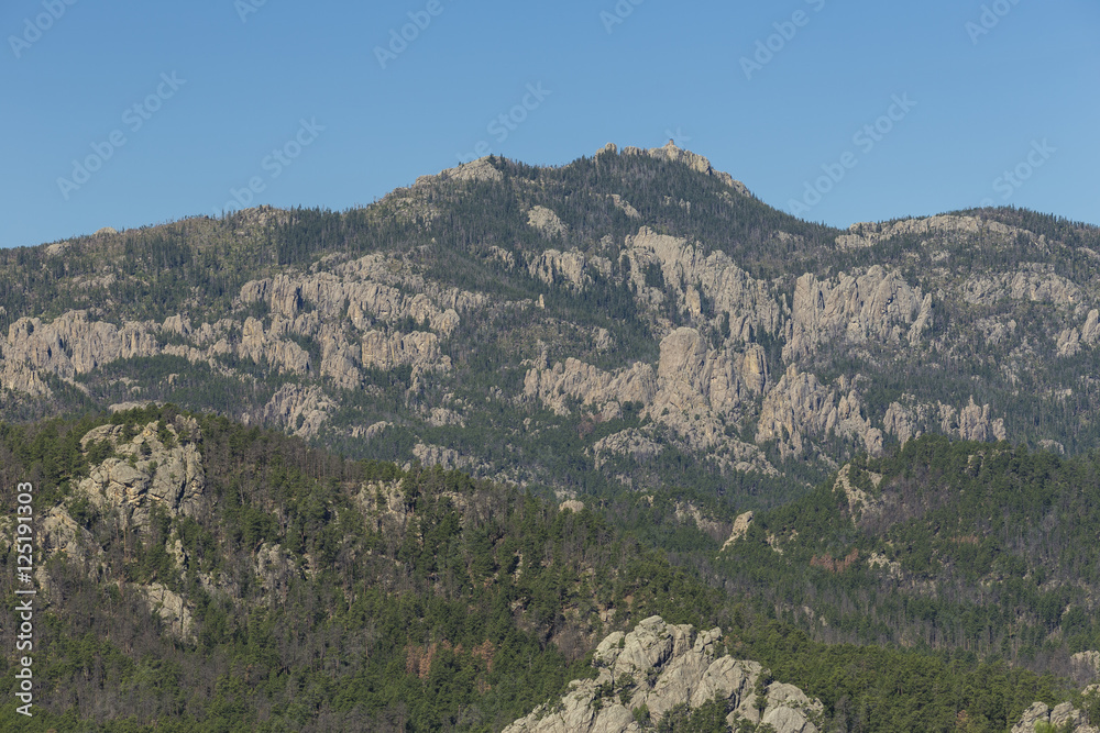 Black Hills Scenic Landscape