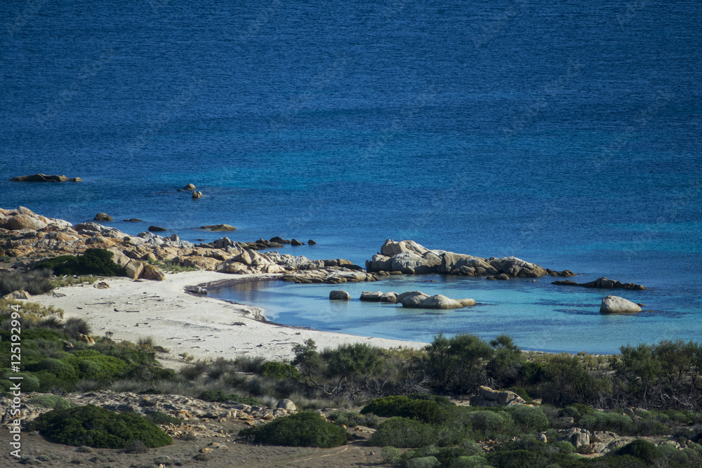 asinara