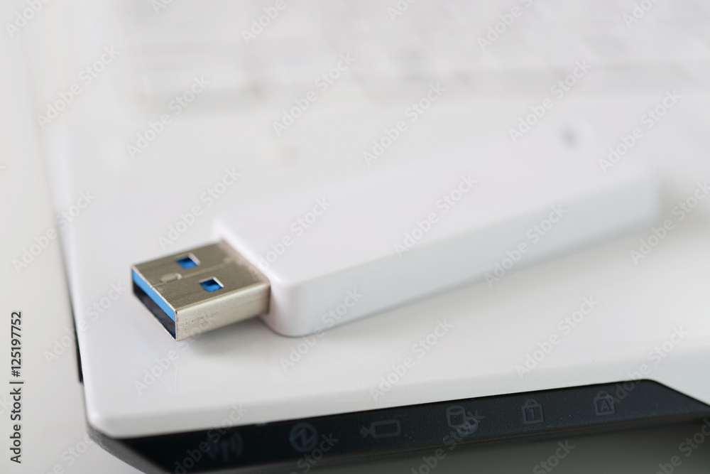 Fototapeta premium ノートパソコンとUSBメモリー