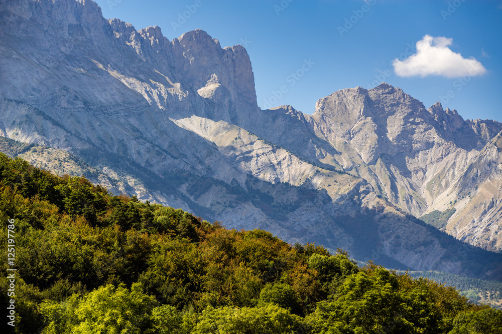 Faraut mountain peaks (Breche de Faraut and Pic de Chabournasse) in Champsaur and tree line in early Fall. Hautes Alpes, Southern Alps, France