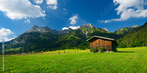 Typische Landschaft in den Alpen, grüne Wiesen, Heustadel und Berge im Tannheimer Tal, Tirol, Österreich photo