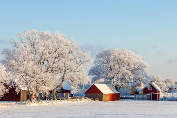 Farmhouse with frost and snow in the winter