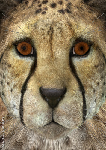 3D Rendering Cheetah