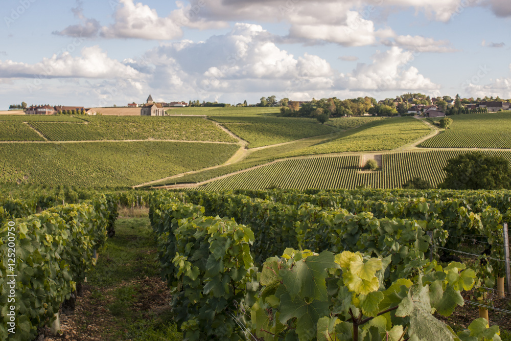  Préhy dans le 89 (Yonne)