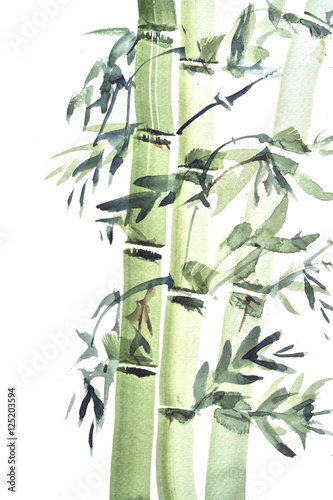 Watercolor paintings of bamboo