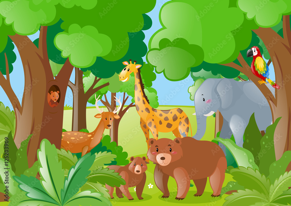 Naklejka premium Wild animals in the forest