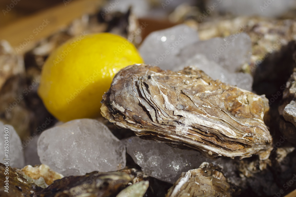 Fresh oysters on ice with lemon