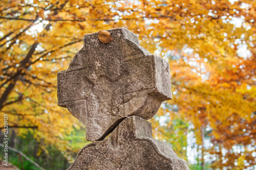 Stone grave cross with a spider on autumn leaves background. Halloween background.