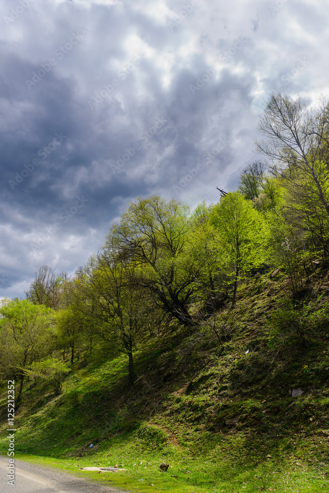 Amazing early spring landscape, Armenia Amazing early spring landscape, Armenia