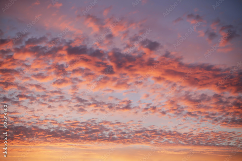Pink and orange clouds during sunset on a blue sky